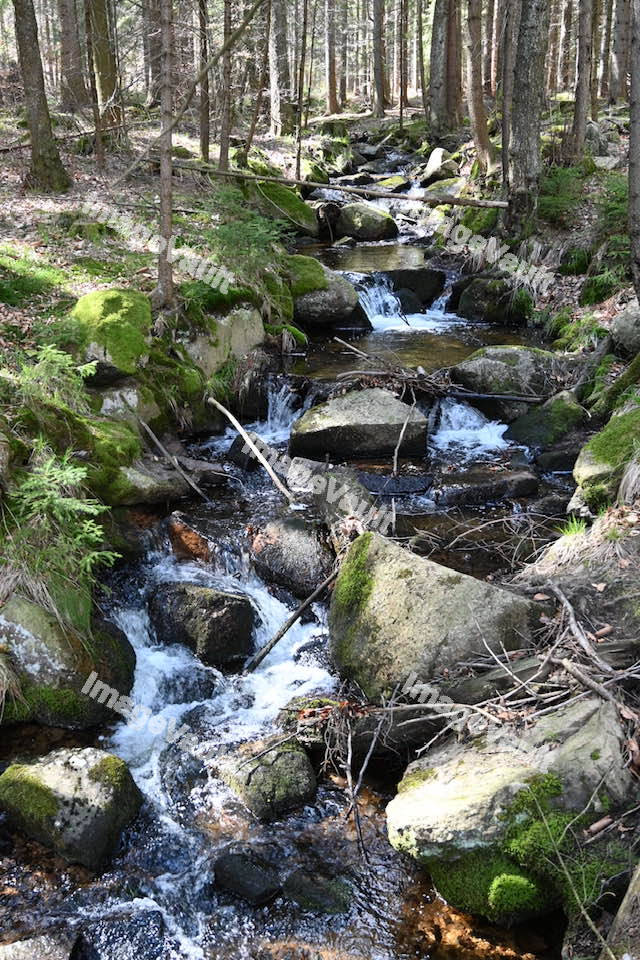 Water Stream